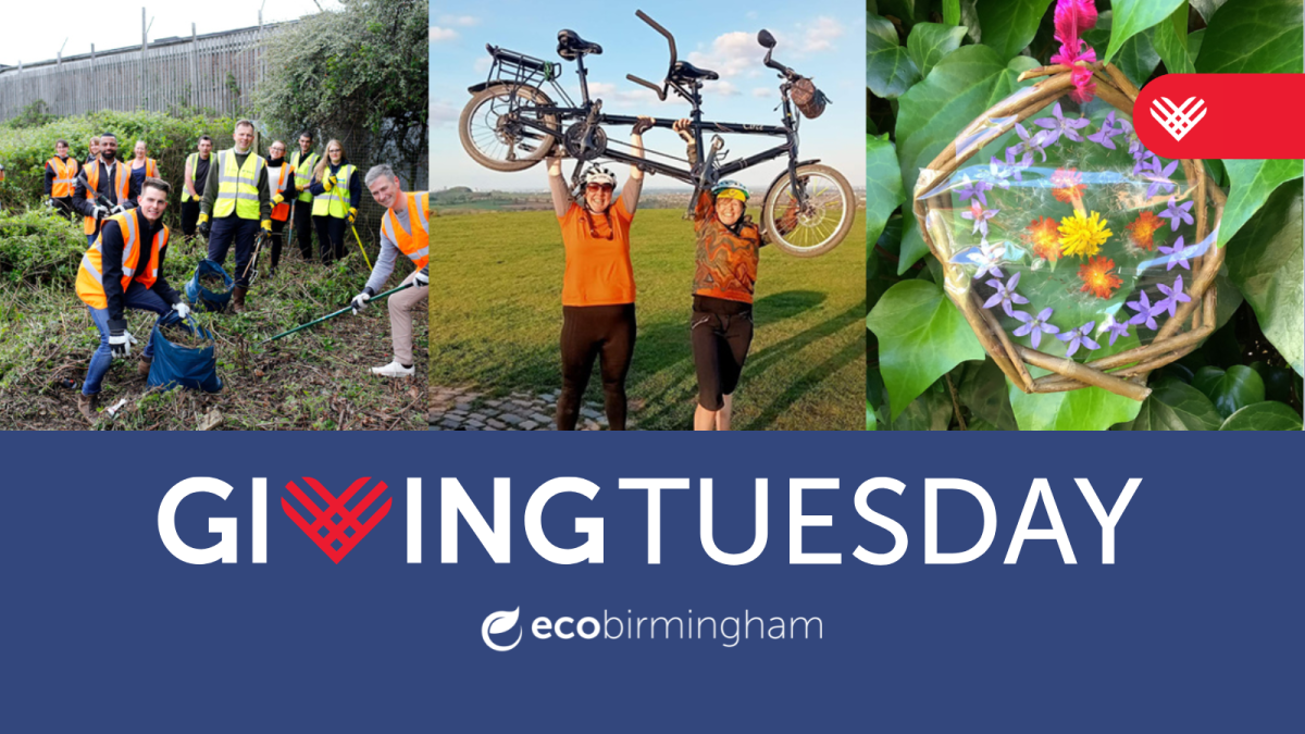 Giving Tuesday